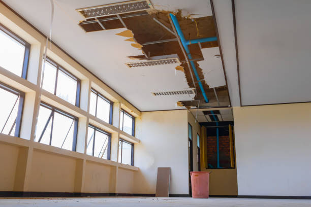 Best Flood damage cleanup  in Fraser, MI