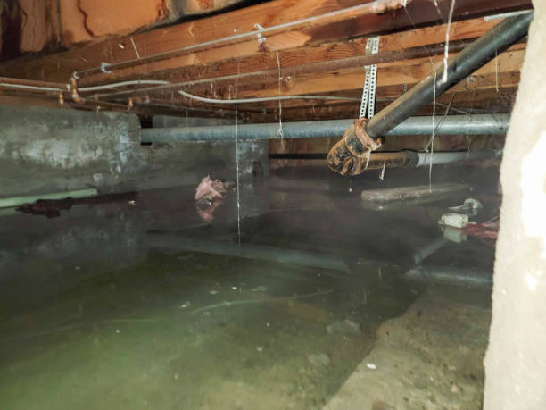 Best Commercial water damage restoration  in Fraser, MI