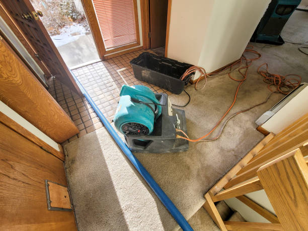 Sewage cleanup and water damage restoration in Fraser, MI