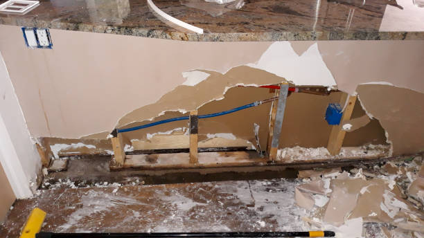 Best Carpet water damage restoration  in Fraser, MI