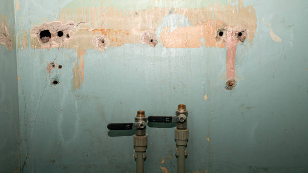Best Emergency water extraction  in Fraser, MI