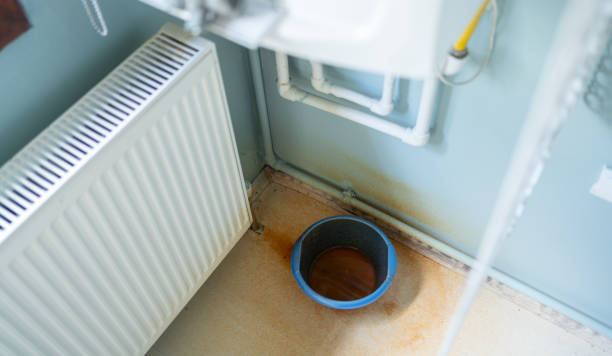 Best Water damage restoration near me  in Fraser, MI