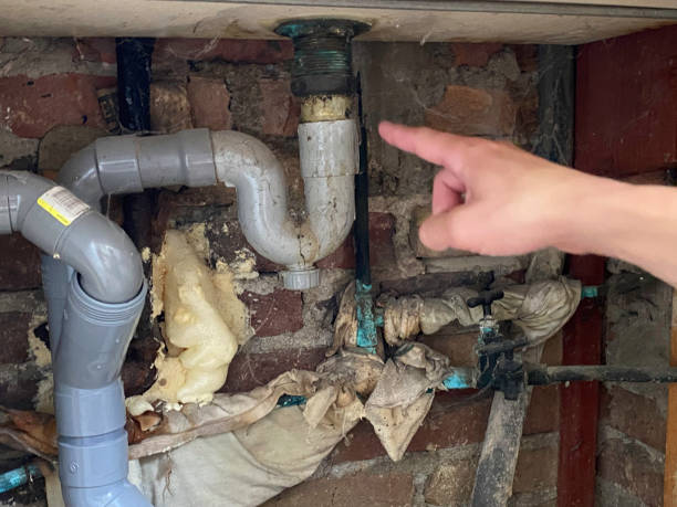Best 24/7 water damage repair  in Fraser, MI