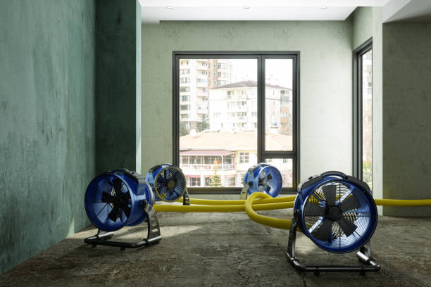 Best Water damage restoration near me  in Fraser, MI